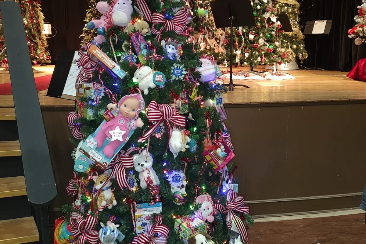 Rabun Festival of Trees by NGAG at Rabun County Civic Center