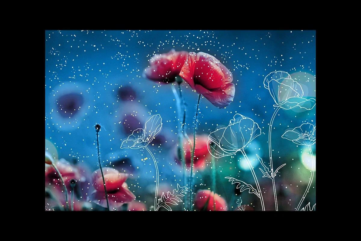 Promotional image for Garden Nights: Butterflies & Bingo at State Botanical Garden of Georgia